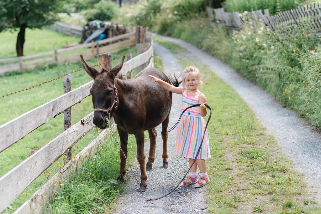 Zittrauerhof - Urlaub Am Bauernhof Gastein Villa Bad Hofgastein Bagian luar foto